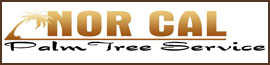 NorCal Palm Tree Service in Roseville, CA